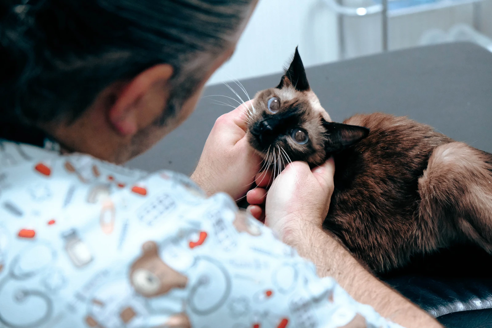 猫伝染性腹膜炎（FIP）の本質