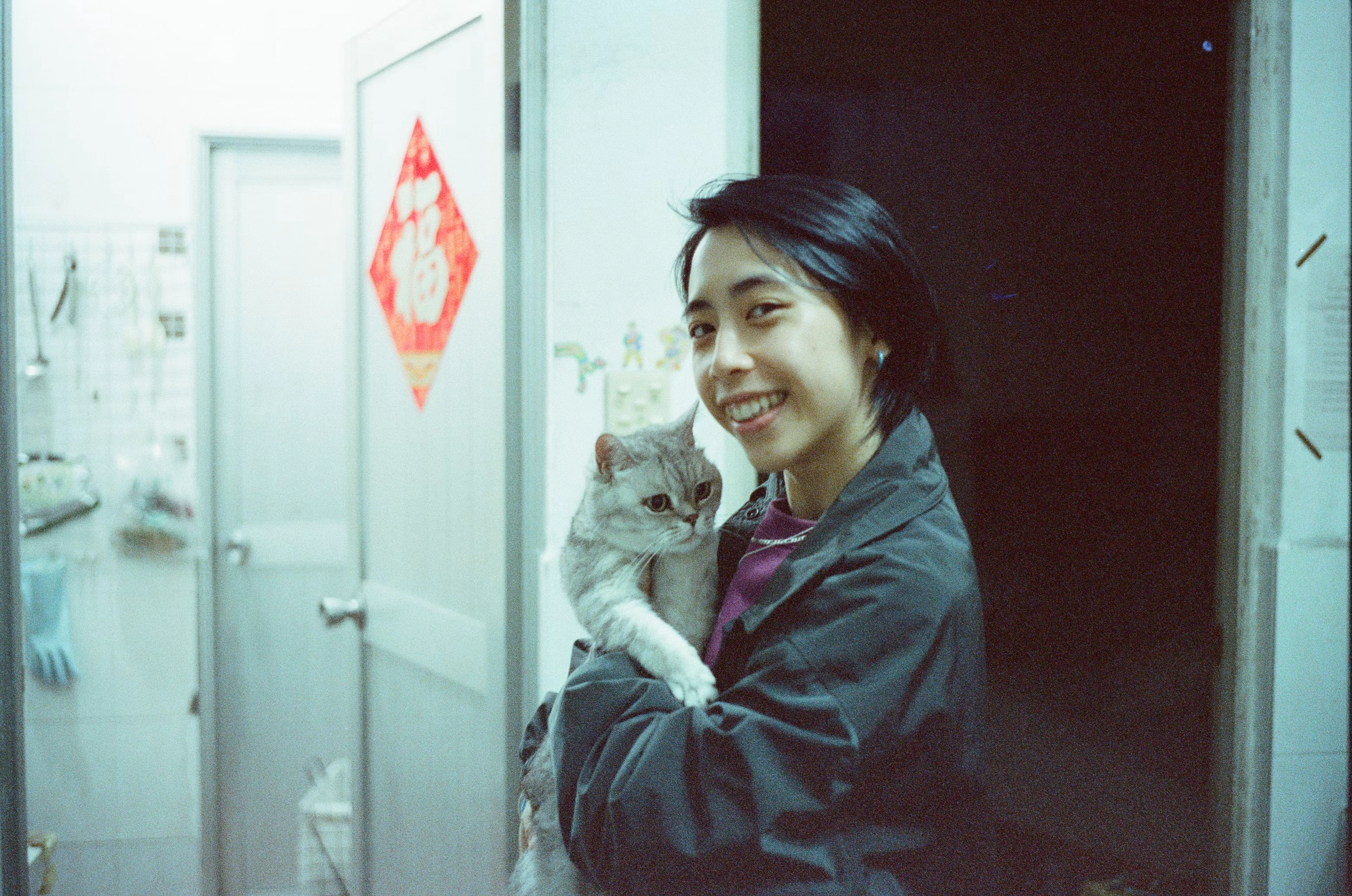猫を診察する医療スタッフ