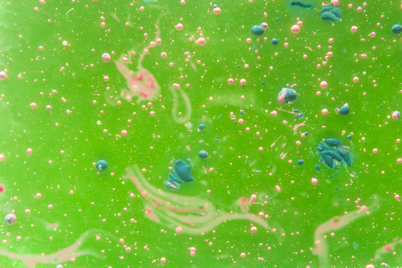 ウイルスと細菌①