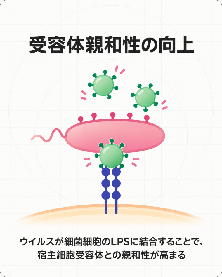 FIPの解説図